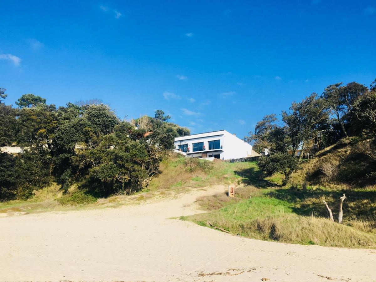 Chambre D'Hote Le Dauphin Meschers-sur-Gironde Ngoại thất bức ảnh
